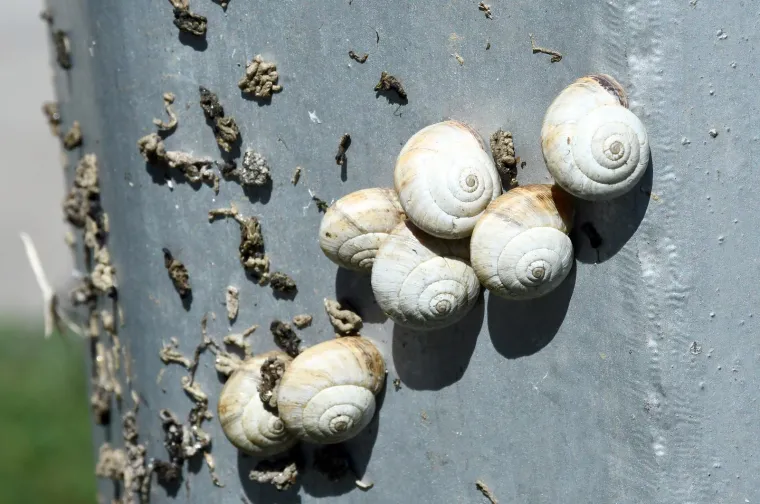 Njima je ovo Zrće: Možete li shvatiti &scaron;to je na gradskom stupu? Gore se odvija pravi party