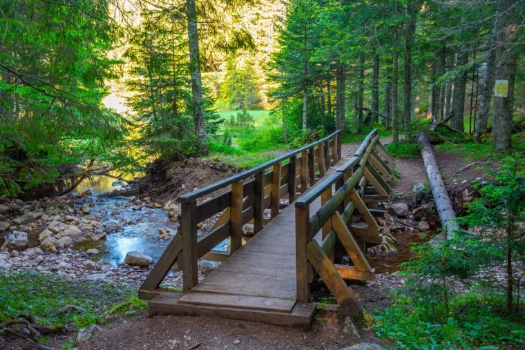 To nije planina, već živa legenda. Para nebo, skriva šapat davnina: I nalazi se u našem susjedstvu