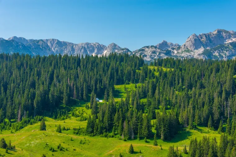 To nije planina, već živa legenda. Para nebo, skriva šapat davnina: I nalazi se u našem susjedstvu