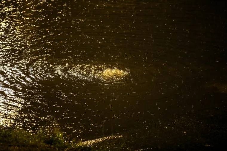 Zagreb pod vodom: Auti 'plivaju', vozači zapeli u podvožnjaku. Vatrogasci u borbi s bujicom