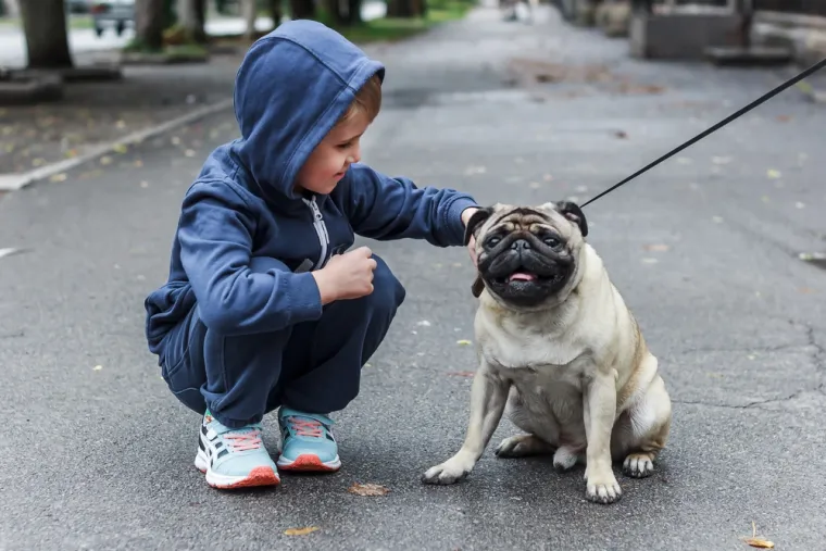 Nisu svi psi idealni za obitelj: Top 25 pasmina koje su pune nježnosti i strpljenja