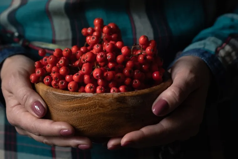 Reci mi što jedeš, reći ću ti tko si: Otkrijte što o vama govori vaša omiljena hrana