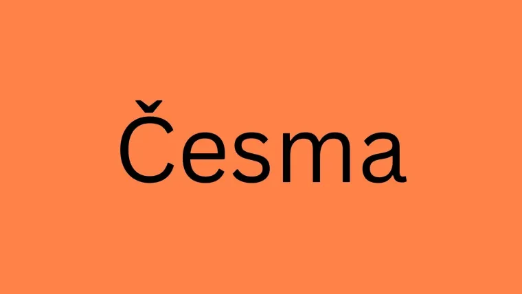 Možeš li prepoznati značenje ovih bosansko-hercegovačkih izraza?