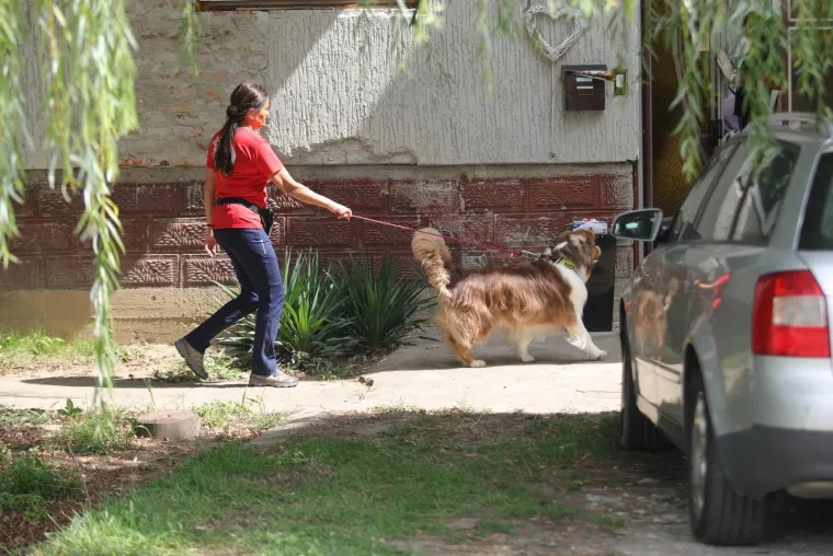 Prve fotografije s mjesta užasa: U septičkoj jami navodno našli raskomadanu ženu