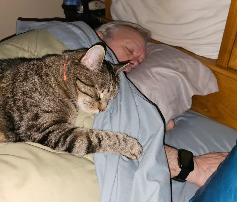 Svi su ovi roditelji vikali da ne žele psa ili mačku u kući, prijetili, a pogledajte ih danas