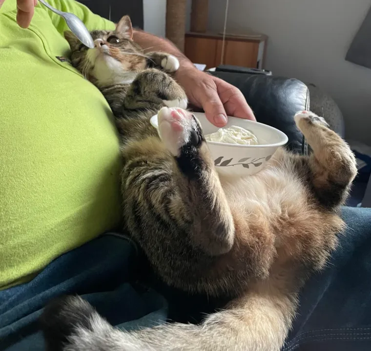 Svi su ovi roditelji vikali da ne žele psa ili mačku u kući, prijetili, a pogledajte ih danas