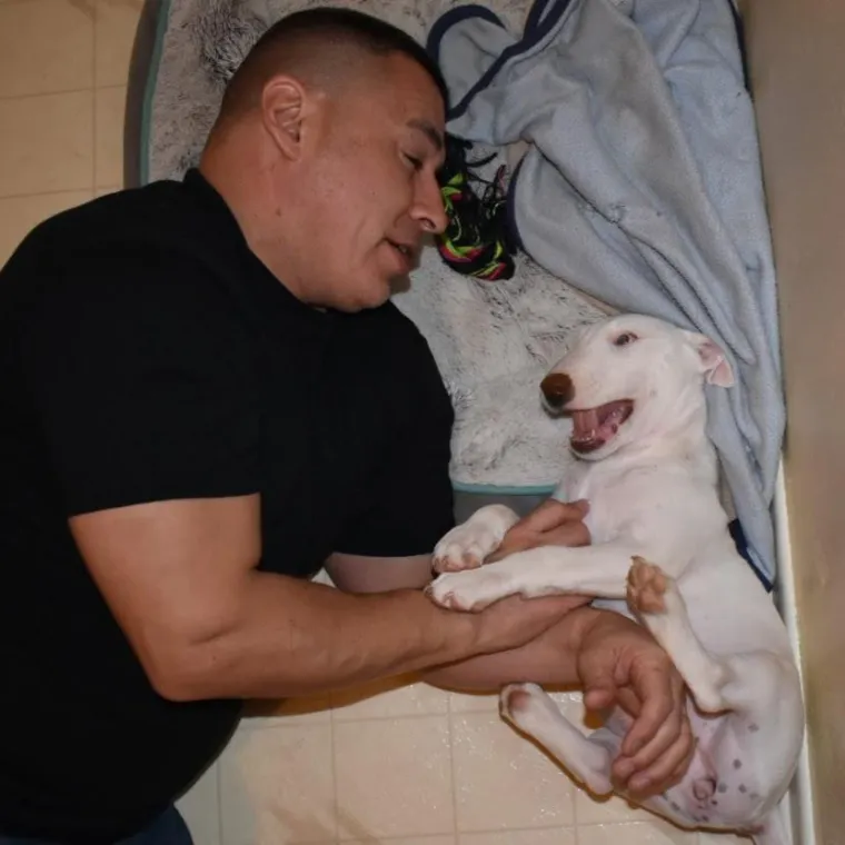 Svi su ovi roditelji vikali da ne žele psa ili mačku u kući, prijetili, a pogledajte ih danas