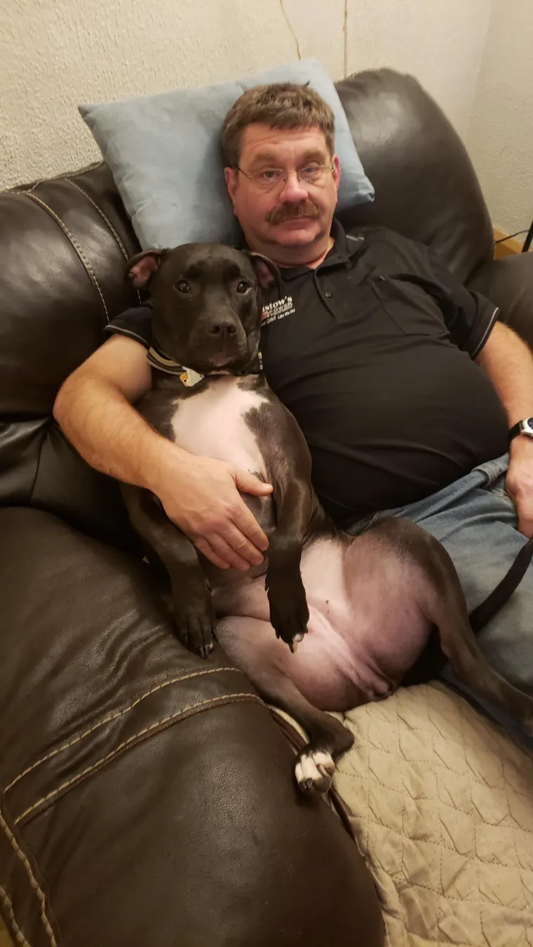 Svi su ovi roditelji vikali da ne žele psa ili mačku u kući, prijetili, a pogledajte ih danas