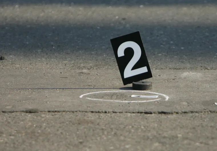 Mrtvi za&scaron;titari, krv i meci - prizori jedne od najkrvavijih pljački u Zagrebu: 'Da, pobio sam ih'