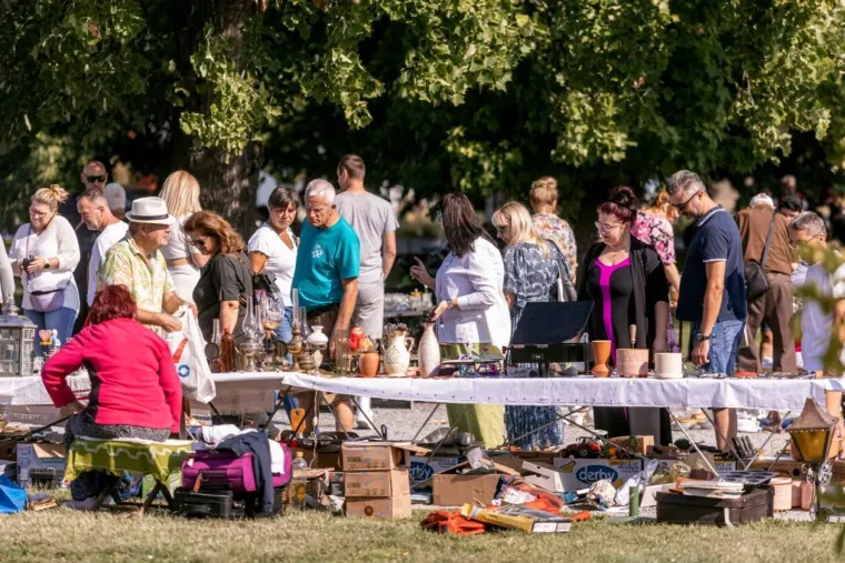 Kada su se pojavile, antikviteti su pali u zaborav: Dvije zgodne dame osmjesima zasjenile Sajam