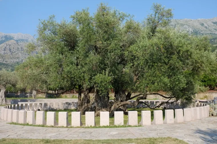 Koliko znate o Crnoj Gori? Ovo je 20 činjenica o zemlji dramatičnih kontrasta i nesvakidašnje ljepote