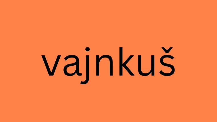 Koje je značenje ovih riječi? Neke bi mogle zbuniti i prave kajkavce