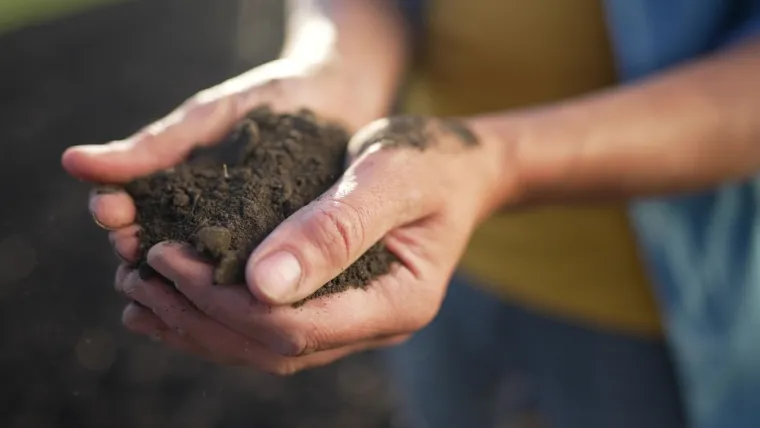 Sve je pokrenula munja? Ovo je nova zanimljiva teorija o nastanku života na Zemlji