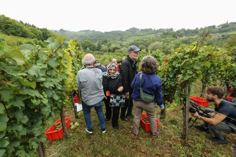 Pogledajte Milanovića u berbi grožđa na Ple&scaron;ivici: Ako ikad napusti politiku...