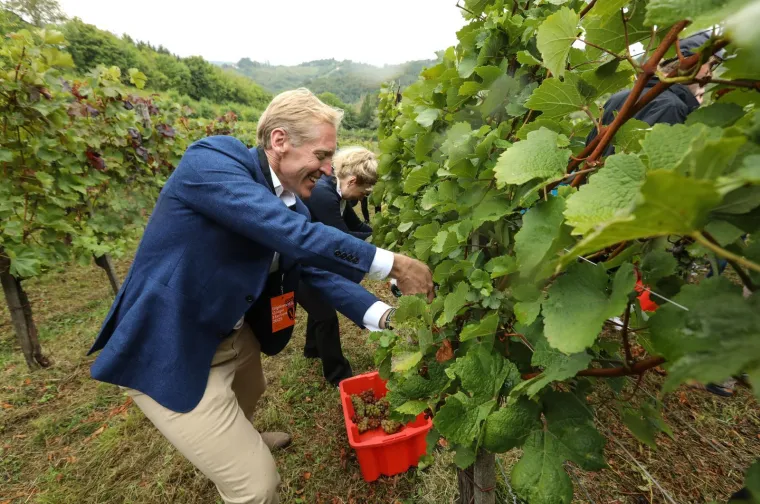 Pogledajte Milanovića u berbi grožđa na Ple&scaron;ivici: Ako ikad napusti politiku...