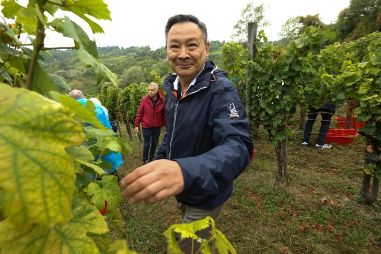 Pogledajte Milanovića u berbi grožđa na Ple&scaron;ivici: Ako ikad napusti politiku...