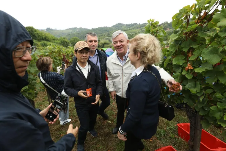 Pogledajte Milanovića u berbi grožđa na Ple&scaron;ivici: Ako ikad napusti politiku...