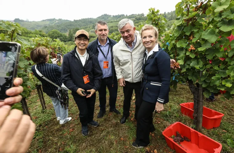 Pogledajte Milanovića u berbi grožđa na Ple&scaron;ivici: Ako ikad napusti politiku...