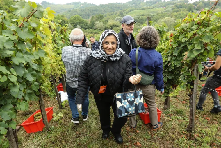 Pogledajte Milanovića u berbi grožđa na Ple&scaron;ivici: Ako ikad napusti politiku...