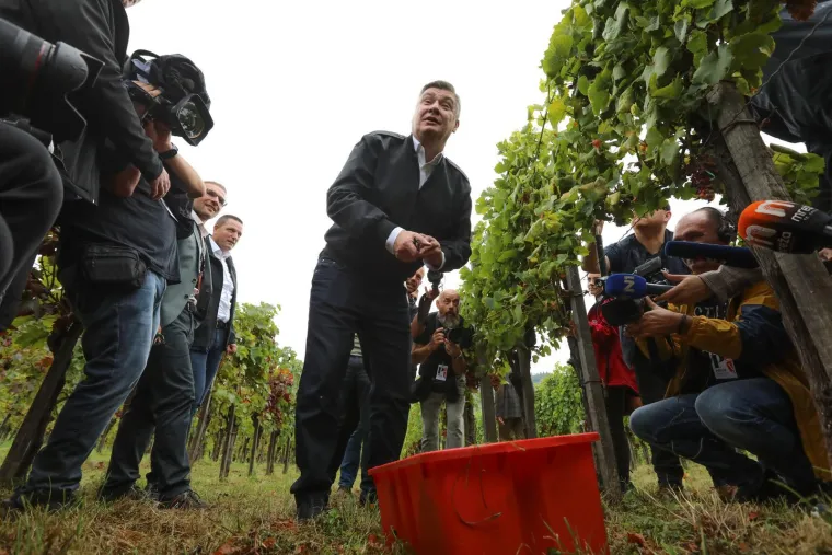 Pogledajte Milanovića u berbi grožđa na Ple&scaron;ivici: Ako ikad napusti politiku...