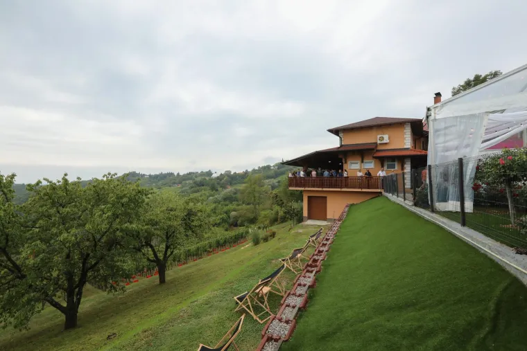 Pogledajte Milanovića u berbi grožđa na Ple&scaron;ivici: Ako ikad napusti politiku...