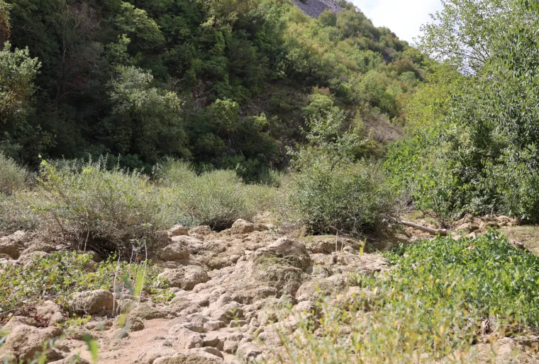 Svi znaju Thompsonove stihove o poznatoj rijeci, ali ona je - presušila: Prizori su sablasni