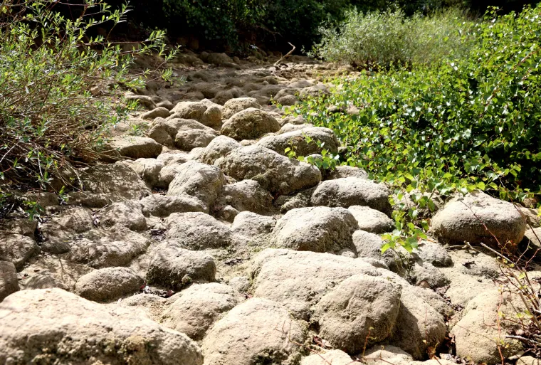 Svi znaju Thompsonove stihove o poznatoj rijeci, ali ona je - presušila: Prizori su sablasni