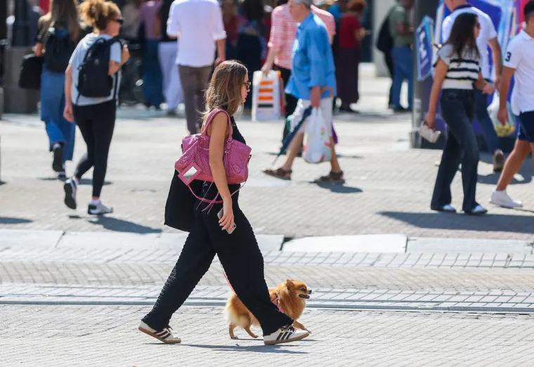 Prizor iz centra Zagreba odu&scaron;evio: Ljepotica i tri razigrane pudlice prolaznicima uljep&scaron;ale dan