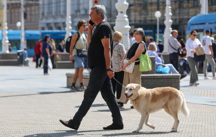Prizor iz centra Zagreba odu&scaron;evio: Ljepotica i tri razigrane pudlice prolaznicima uljep&scaron;ale dan