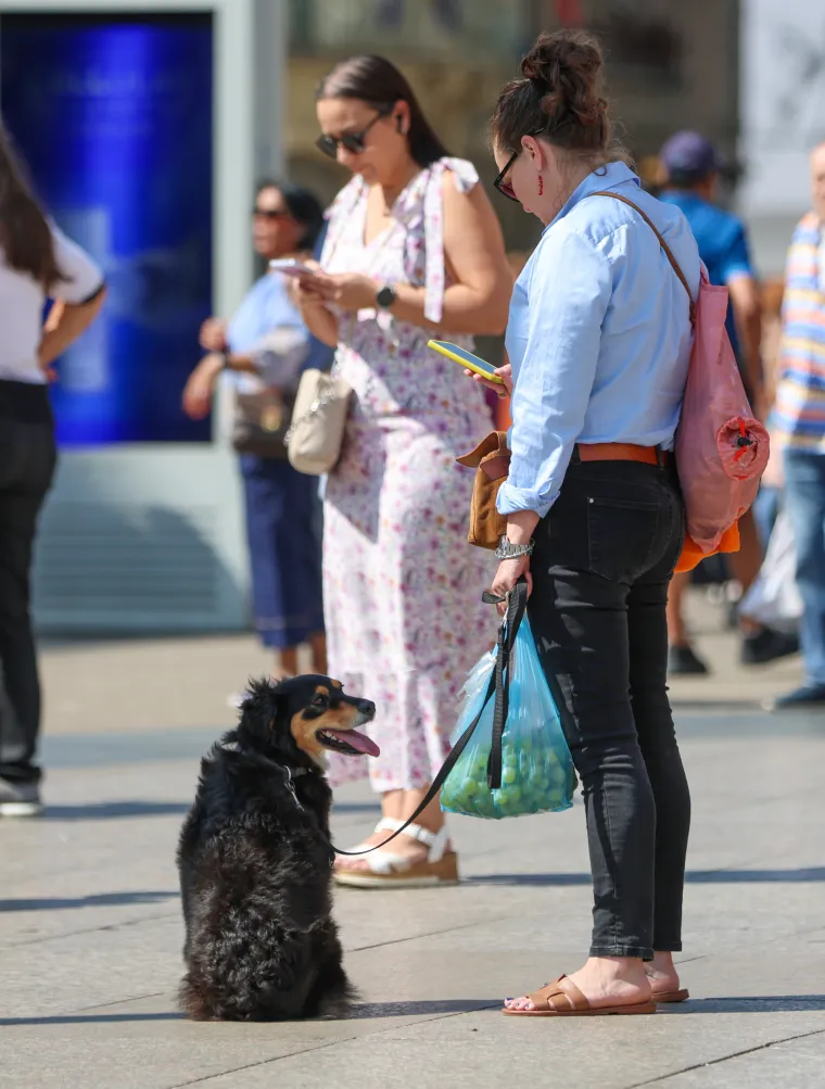 Prizor iz centra Zagreba odu&scaron;evio: Ljepotica i tri razigrane pudlice prolaznicima uljep&scaron;ale dan