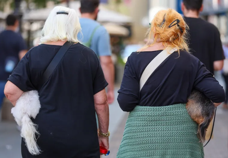 Prizor iz centra Zagreba odu&scaron;evio: Ljepotica i tri razigrane pudlice prolaznicima uljep&scaron;ale dan