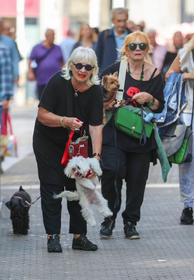 Prizor iz centra Zagreba odu&scaron;evio: Ljepotica i tri razigrane pudlice prolaznicima uljep&scaron;ale dan