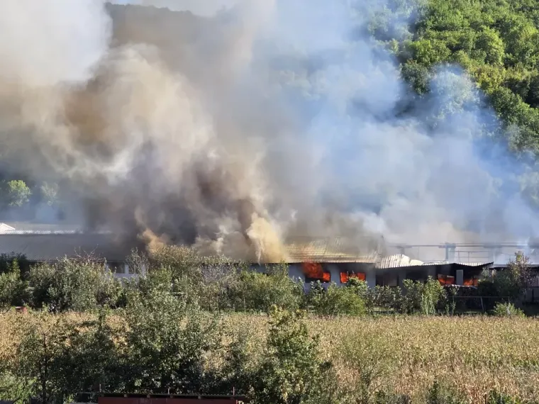 Lokalizirana golema buktinja u tvornici kraj Pleternice! &Scaron;teta je ogromna, vatra progutala strojeve