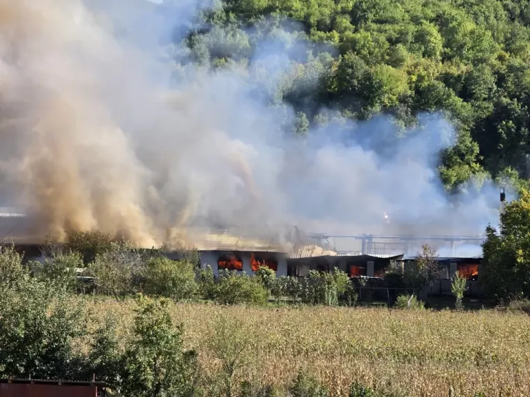 Lokalizirana golema buktinja u tvornici kraj Pleternice! &Scaron;teta je ogromna, vatra progutala strojeve