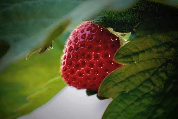 Jedan od najuspje&scaron;nijih proroka modernog doba: Neke od 23 stvari koje je predvidio će vas zapanjiti