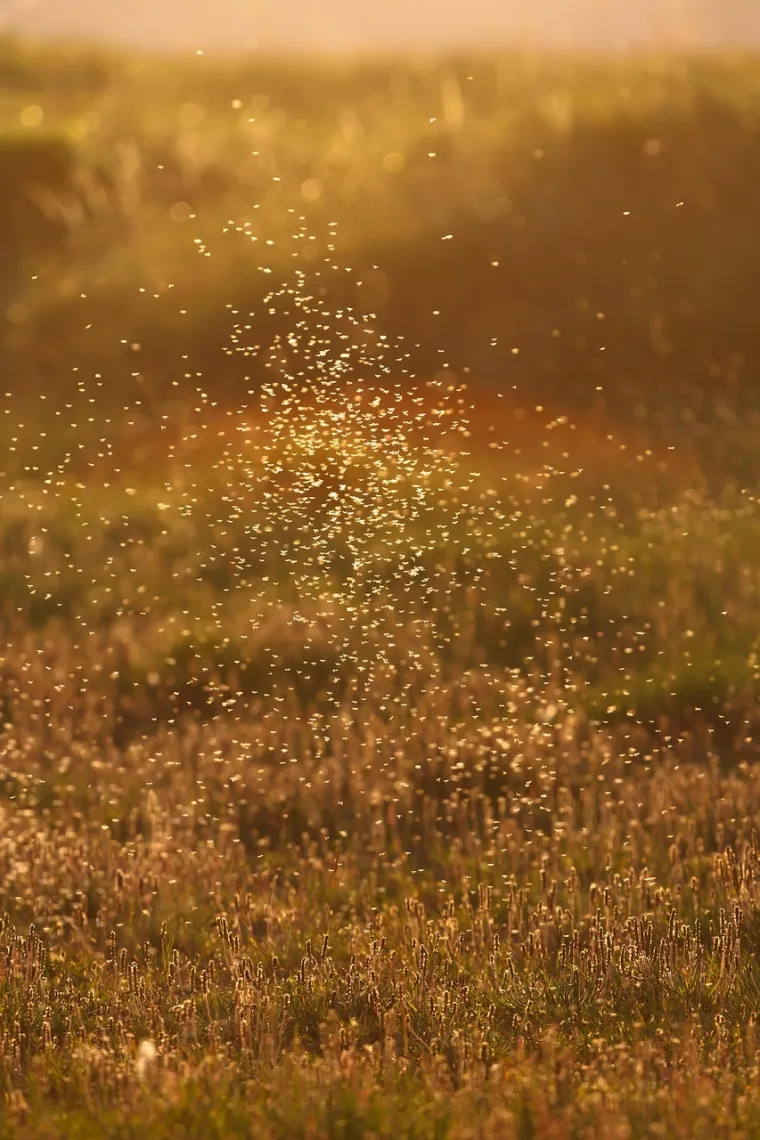 Jedan od najuspje&scaron;nijih proroka modernog doba: Neke od 23 stvari koje je predvidio će vas zapanjiti