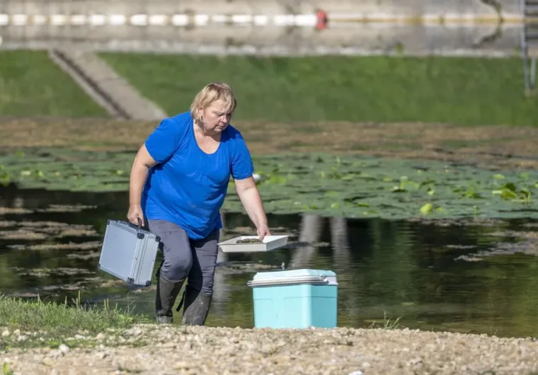 Korana je prekrasna, ali ova plavuša u crvenom bacila ju je u potpuno sporedni plan