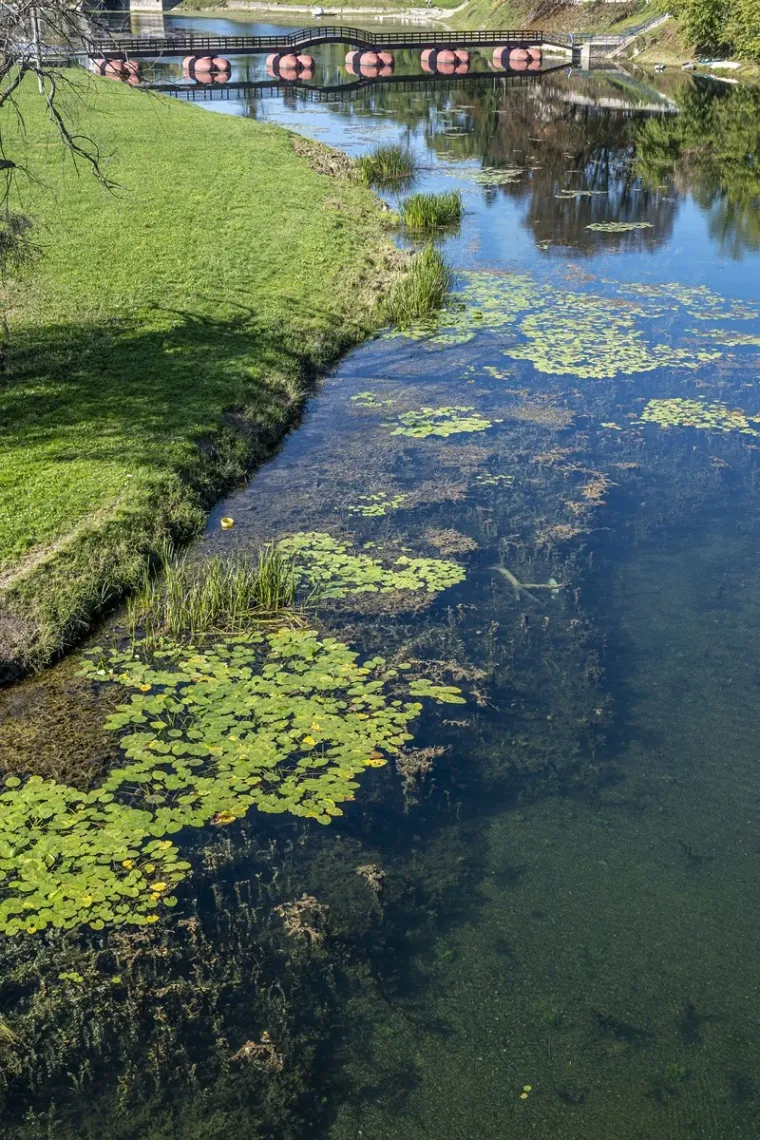 Korana je prekrasna, ali ova plavu&scaron;a u crvenom bacila ju je u potpuno sporedni plan