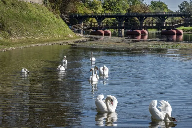 Korana je prekrasna, ali ova plavu&scaron;a u crvenom bacila ju je u potpuno sporedni plan