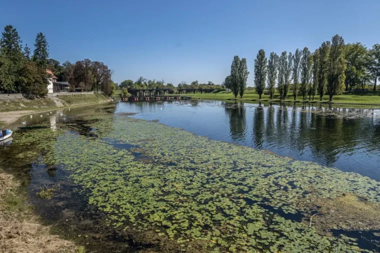 Korana je prekrasna, ali ova plavu&scaron;a u crvenom bacila ju je u potpuno sporedni plan