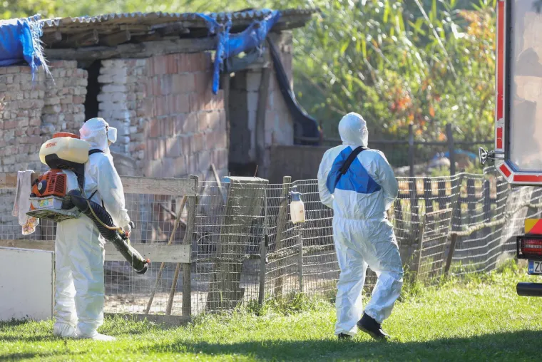 Galerija užasa: Opaka bolest uzela maha, prizori lešina su uznemirujući