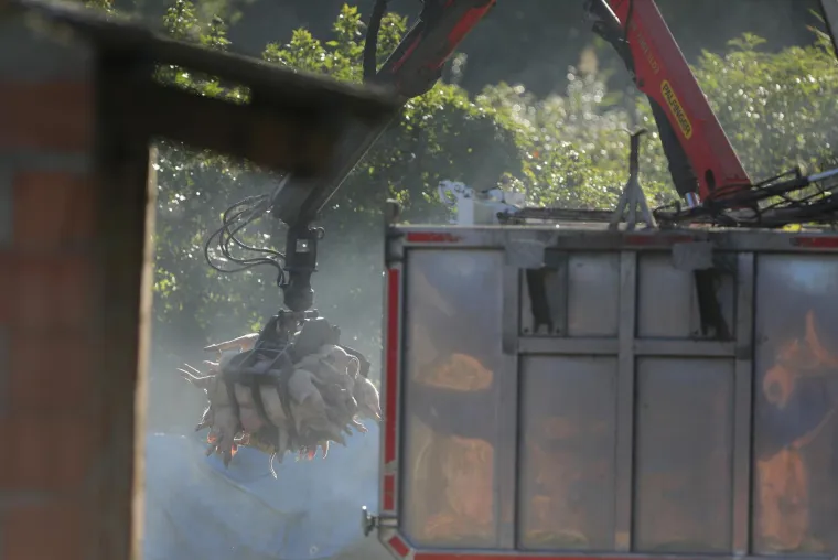 Galerija užasa: Opaka bolest uzela maha, prizori lešina su uznemirujući