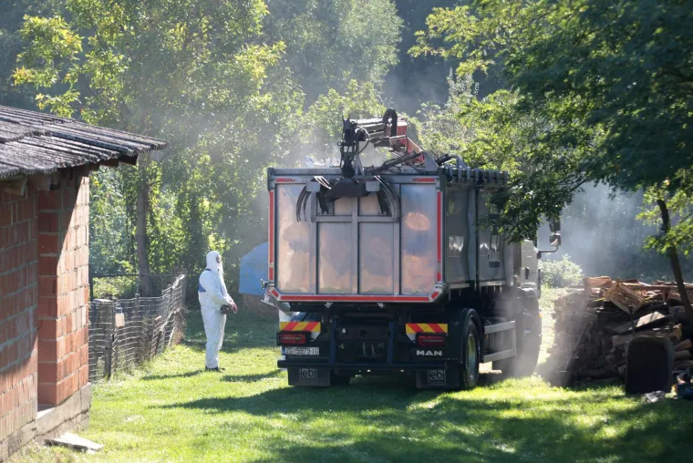 Galerija užasa: Opaka bolest uzela maha, prizori lešina su uznemirujući