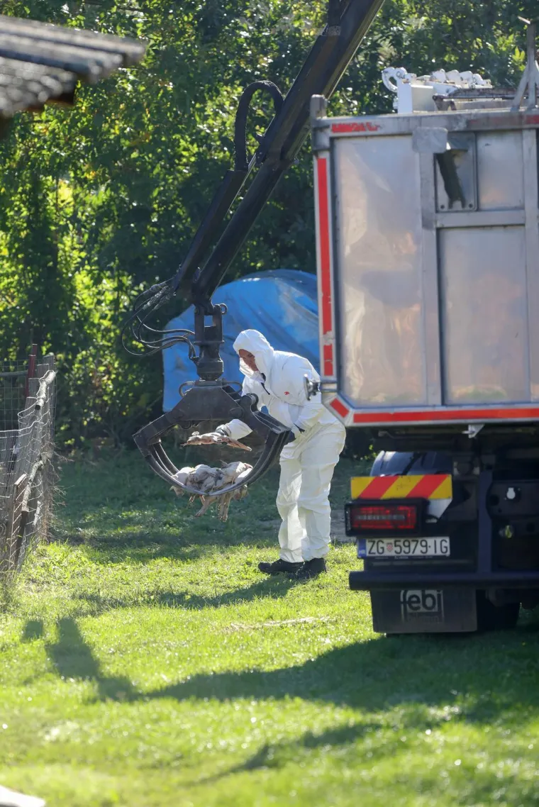 Galerija užasa: Opaka bolest uzela maha, prizori le&scaron;ina su uznemirujući