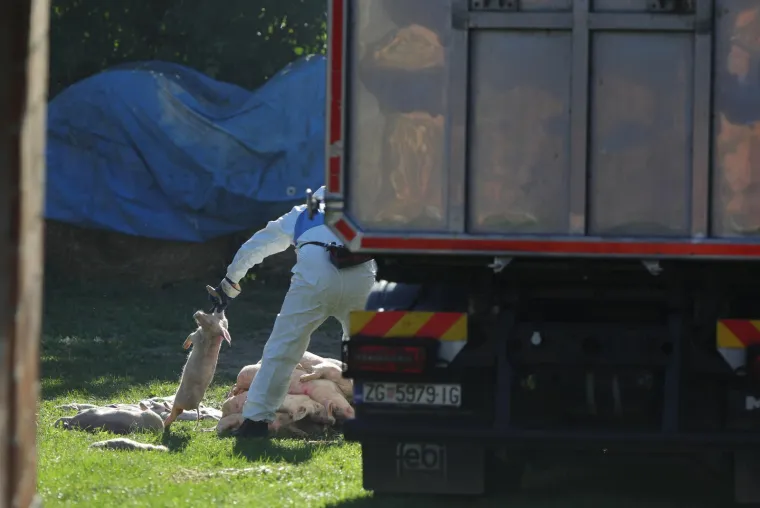 Galerija užasa: Opaka bolest uzela maha, prizori le&scaron;ina su uznemirujući