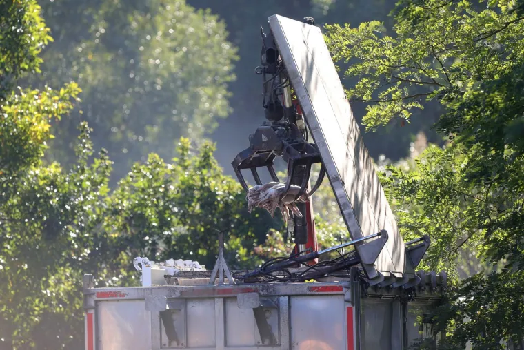 Galerija užasa: Opaka bolest uzela maha, prizori le&scaron;ina su uznemirujući