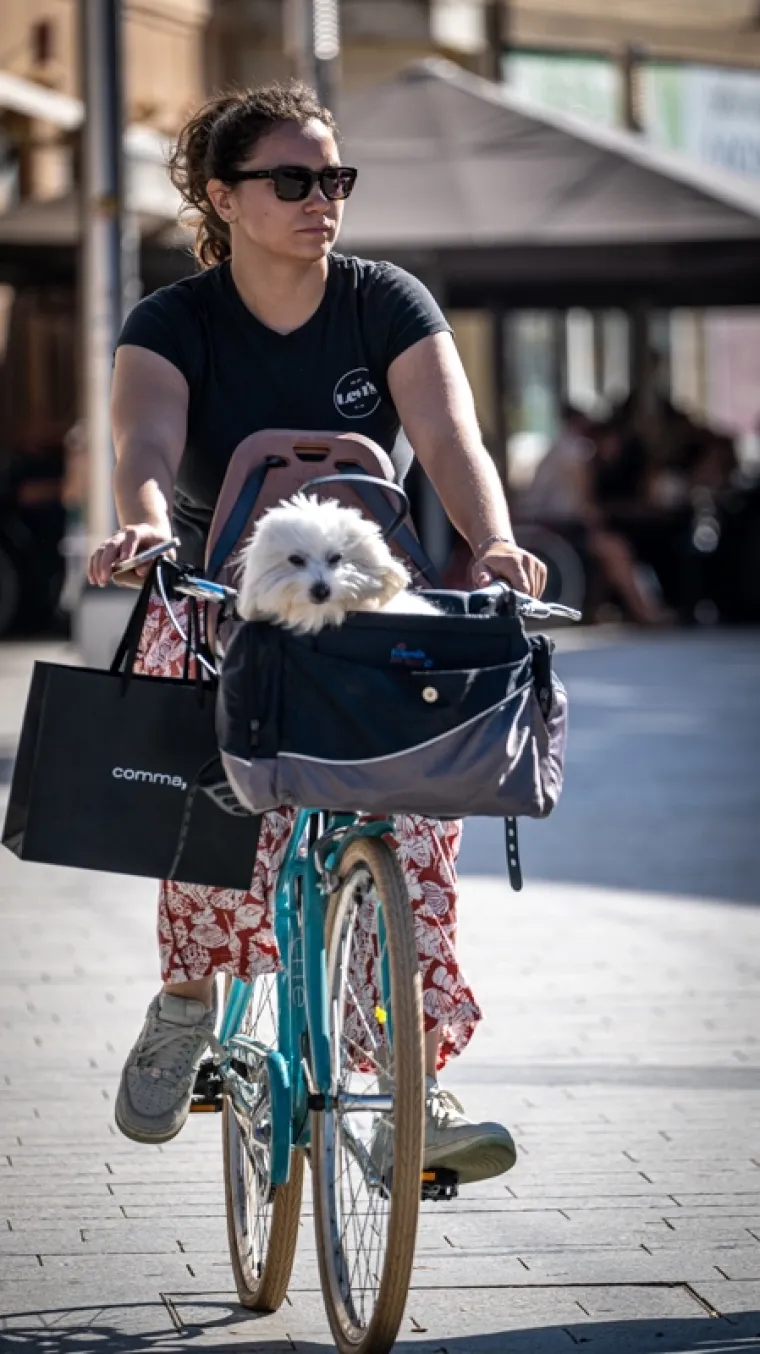 Nema tko se nije zagledao u gospođu s košuljom leopard uzorka: Čakovec ovih dana vrvi bojama