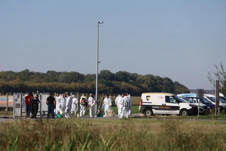 Kreće masovna eutanazija svinja na istoku Hrvatske: Otkriven krivac za širenje bolesti