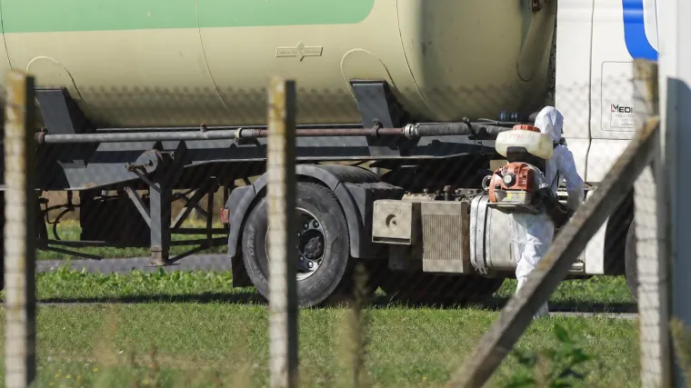 Kreće masovna eutanazija svinja na istoku Hrvatske: Otkriven krivac za širenje bolesti