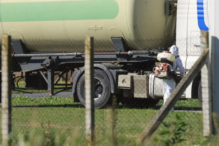 Kreće masovna eutanazija svinja na istoku Hrvatske: Otkriven krivac za širenje bolesti